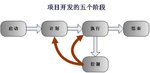 软件项目开发流程中的信息咨询服务 从需求到交付的系统支持
